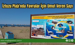 İztuzu Plajı'nda Yavrular İçin Umut Veren Sayı