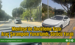 Menteşe'de Zincirleme Kaza: Araç Şarampole Yuvarlandı, Sürücü Yaralı