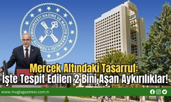Mercek Altındaki Tasarruf: İşte Tespit Edilen 2 Bini Aşan Aykırılıklar!