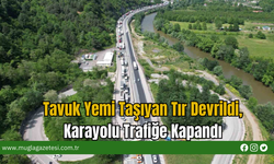 Tavuk Yemi Taşıyan Tır Devrildi, Karayolu Trafiğe Kapandı