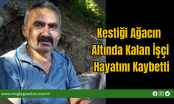 Kestiği Ağacın Altında Kalan İşçi Hayatını Kaybetti