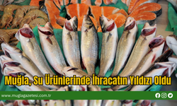 Muğla, Su Ürünlerinde İhracatın Yıldızı Oldu