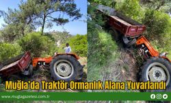 Muğla’da Traktör Ormanlık Alana Yuvarlandı