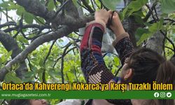 Ortaca’da Kahverengi Kokarca’ya Karşı Tuzaklı Önlem