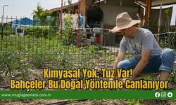 Kimyasal Yok, Tuz Var! Bahçeler Bu Doğal Yöntemle Canlanıyor