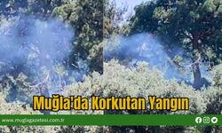 Muğla'da Korkutan Yangın