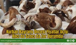 Kurban Bayramı Öncesi Fiyatlar Uçtu: Alıcı da Satıcı da Zor Durumda