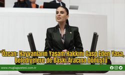 “Özcan: Hayvanların Yaşam Hakkını Gasp Eden Yasa, Belediyelere de Baskı Aracına Dönüştü”