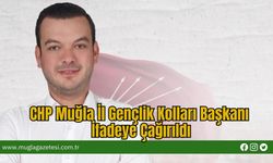 CHP Muğla İl Gençlik Kolları Başkanı İfadeye Çağırıldı