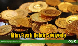 Altın Fiyatı Rekor Seviyede