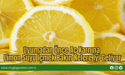Uyumadan Önce Aç Karnına Limon Suyu İçmek Bakın Nelere İyi Geliyor