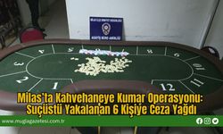 Milas’ta Kahvehaneye Kumar Operasyonu: Suçüstü Yakalanan 6 Kişiye Ceza Yağdı
