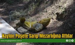 Naylon Poşete Sarıp Mezarlığına Attılar
