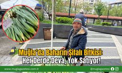 Muğla’da Baharın Şifalı Bitkisi: Her Derde Deva, Yok Satıyor!