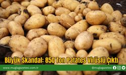 Büyük Skandal: 850 Ton Patates Virüslü Çıktı