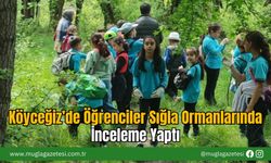 Köyceğiz’de Öğrenciler Sığla Ormanlarında İnceleme Yaptı