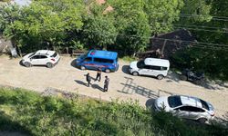 Köpek Ölümleri Şüphe Uyandırdı: Jandarma Soruşturma Başlattı