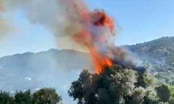 Bodrum'da İkinci Yangın