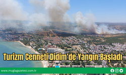 Turizm Cenneti Didim'de Yangın Başladı