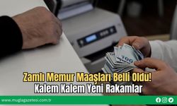 Zamlı Memur Maaşları Belli Oldu! Kalem Kalem Yeni Rakamlar