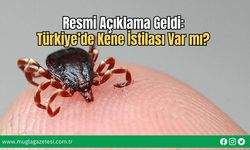 Resmi Açıklama Geldi: Türkiye’de Kene İstilası Var mı?