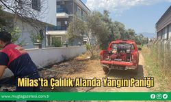 Milas’ta Çalılık Alanda Yangın Paniği