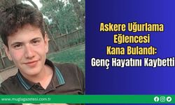 Askere Uğurlama Eğlencesi Kana Bulandı: Genç Hayatını Kaybetti