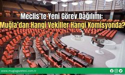 Meclis’te Yeni Görev Dağılımı: Muğla’dan Hangi Vekiller Hangi Komisyonda?