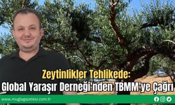 Zeytinlikler Tehlikede: Global Yaraşır Derneği'nden TBMM'ye Çağrı