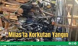 Milas'ta Korkutan Yangın