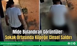 Mide Bulandıran Görüntüler: Sokak Ortasında Köpeğe Cinsel Saldırı