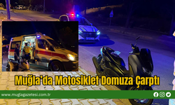 Muğla’da Motosiklet Domuza Çarptı