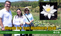 Dünyada Tek: Eşsiz Güzelliklerin Çiçeği