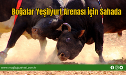 Boğalar Yeşilyurt Arenası İçin Sahada