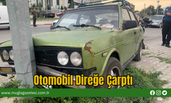 Otomobil Direğe Çarptı