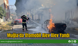 Muğla'da Otomobil Alev Alev Yandı