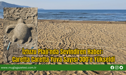 İztuzu Plajı'nda Sevindiren Haber: Caretta Caretta Yuva Sayısı 300'e Yükseldi