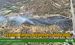 Zeytinlik Yangını Büyümeden Söndürüldü