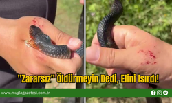 "Zararsız" Öldürmeyin Dedi, Elini Isırdı!