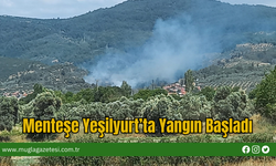 Menteşe Yeşilyurt’ta Yangın Başladı