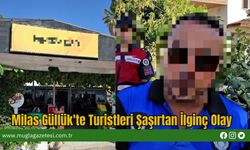 Milas Güllük'te Turistleri Şaşırtan İlginç Olay