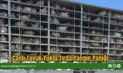Canlı Tavuk Yüklü Tırda Yangın Paniği