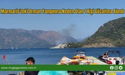 Marmaris'teki Orman Yangınına Neden Olan 1 Kişi Gözaltına Alındı