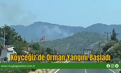 Köyceğiz’de Orman Yangını Başladı