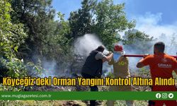 Köyceğiz'deki Orman Yangını Kontrol Altına Alındı