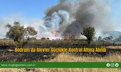 Bodrum'da Alevler Güçlükle Kontrol Altına Alındı