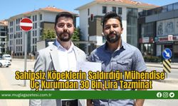 Sahipsiz Köpeklerin Saldırdığı Mühendise Üç Kurumdan 30 Bin Lira Tazminat