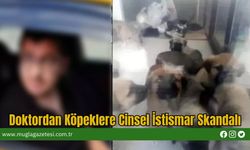 Doktordan Köpeklere Cinsel İstismar Skandalı