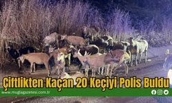 Çiftlikten Kaçan 20 Keçiyi Polis Buldu