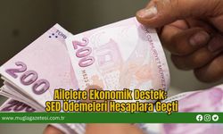 Ailelere Ekonomik Destek: SED Ödemeleri Hesaplara Geçti